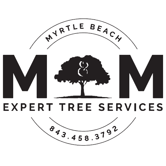 M & M Tree Services